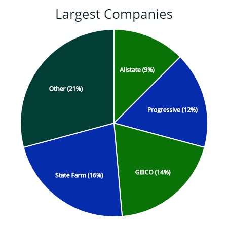 Largest insurers by market share.